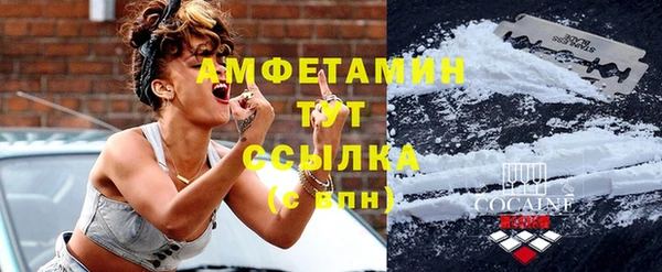 ГАЛЛЮЦИНОГЕННЫЕ ГРИБЫ Балахна