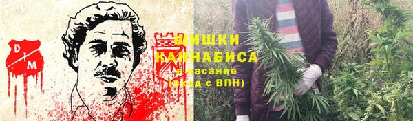 ГАЛЛЮЦИНОГЕННЫЕ ГРИБЫ Балахна