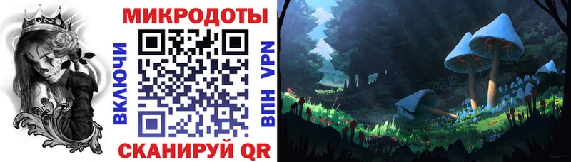 купить   Красный Кут  Галлюциногенные грибы MAGIC MUSHROOMS 